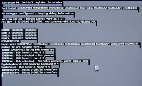 Mac OS X Launches